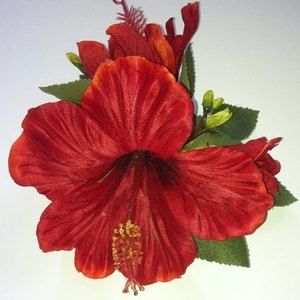 Meet your Posher, Ellie